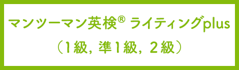 マンツーマン英検®ライティングplus（１，準１級，２級）