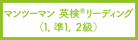 マンツーマン英検リーディング(1、準1、2級)